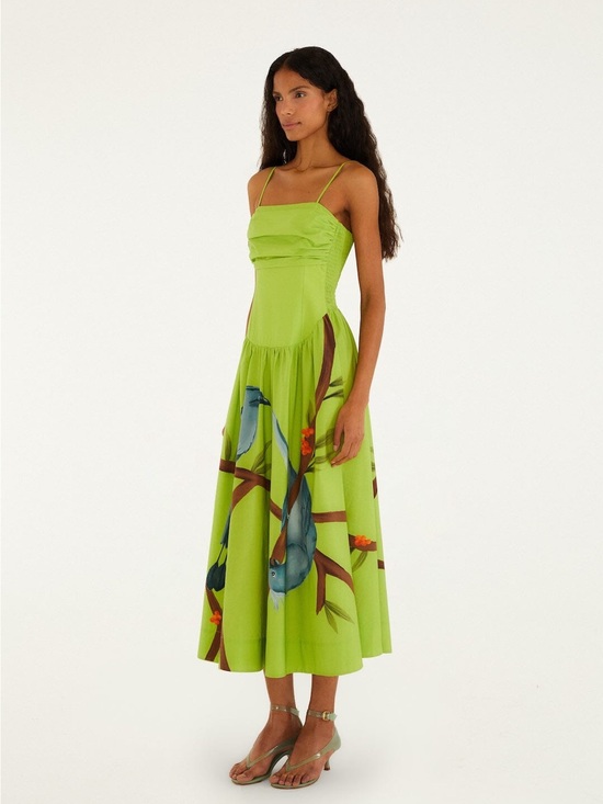 FARM Rio Dresses & Skirts - Farm Rio Green Birds Art Print Smocked Maxi Dress size S Small NWT